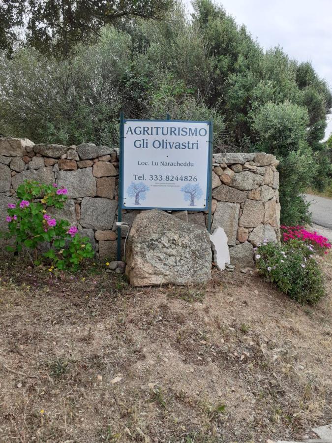 Gli Olivastri Con Piscina,Solarium, Vista Mare ,Sole -Mare E Tanta Natura ,Climatizzatore,Wifi Aglientu Exterior foto