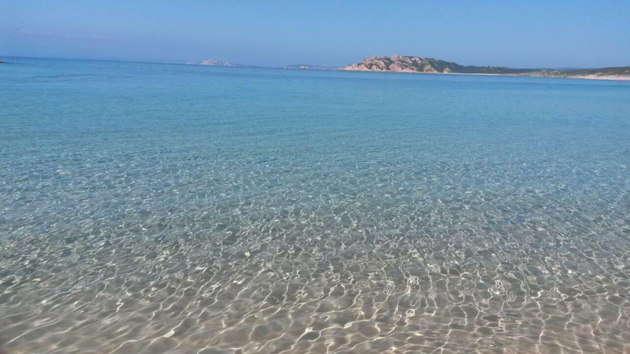 Gli Olivastri Con Piscina,Solarium, Vista Mare ,Sole -Mare E Tanta Natura ,Climatizzatore,Wifi Aglientu Exterior foto
